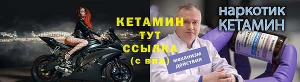твердый Богданович