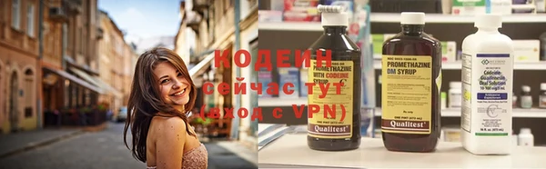 хмурый Богородск