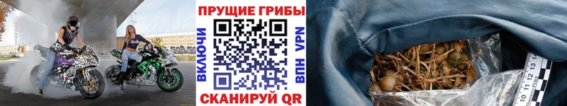 Псилоцибиновые грибы Magic Shrooms  закладка  Мышкин 